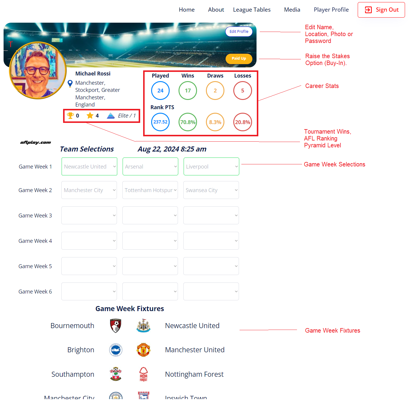Example player profile with key features annotated